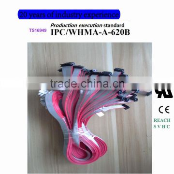 UL2651-28AWG -10P 1.27mm pich flat cable - wire harness