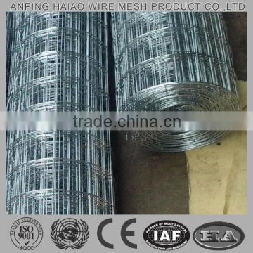 High quality & low price stainless steel welded wire mesh