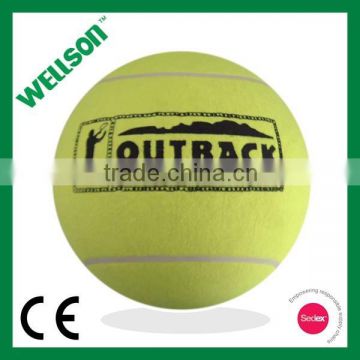 9.5 inch tennis ball player signed tennis ball