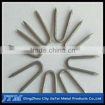(17 years factory)U type nails/fence staples u nails with good quality