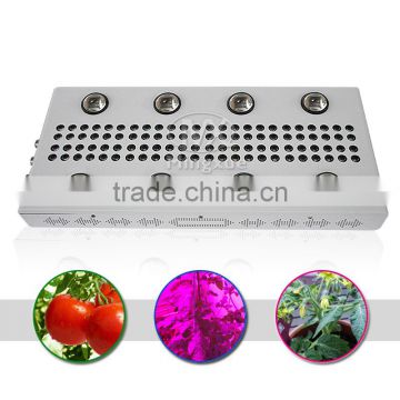 2017 Best Seller NoahS 1200w LED Grow Light With 90w Integrated Cob For Plants