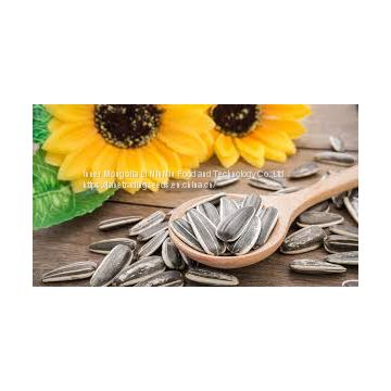 Sunflower Seeds at Low Price