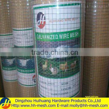 1x1/2 pvc coated welded wire mesh(PVC COATED OR GALVANIZED)Manufacturer&Exporter-OVER 20 YEARS