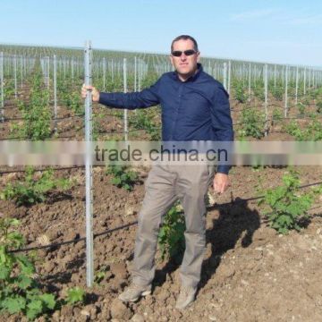 popular steel vineyard trellis post