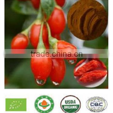 Barbury Wolfberry Fruit Extract powder/ goqi