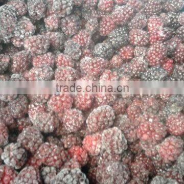 Fresh IQF rubus fruticosus