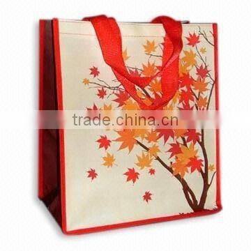 non woven gift bag