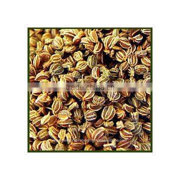 Celery Seed Oil