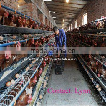 Africa Farmer Popular Layer Chicken Coops Egg Layer Hen Coops