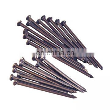High Quality of Common Nails Type And Iron Steel Material Common Wire Nails