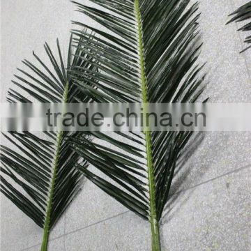 coconuts leaves price