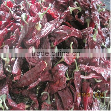 TOP Popular red chilli