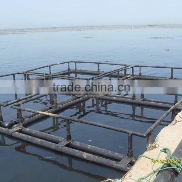 High quality fish cage made of HDPE