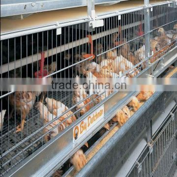 Design layer chicken cages(manufactory)