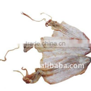 Dried Squid(new coming)