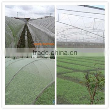 Agricultral use HDPE plastic anti UV green solar shade net
