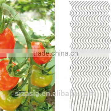 Tomato Spiral Rod 180cm x 7mm with 7 Coils