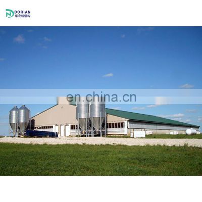 steel structure frame farm chicken houses cattle steel shed sale