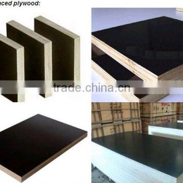 1220X2440X18mm Black Film Faced Plywood for Construction