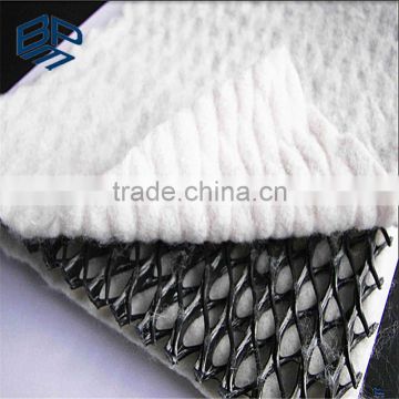 China geonet manufacturer hdpe mesh mat plastic drainage geonet