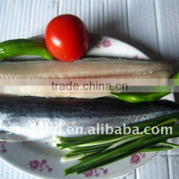IQF spanish mackerel fillets A,B grade