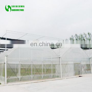 Prefabricated Plastic film Greenhouse
