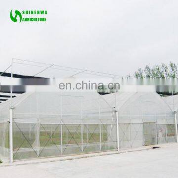 Hydroponic Single-span Hoop PE Film Greenhouse