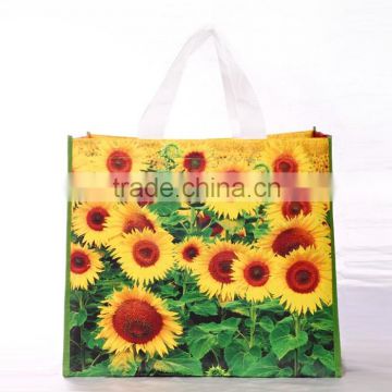 Wholesale reusable shopping bag for shopping