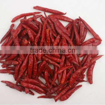 BRIGHT RED CHILLIES