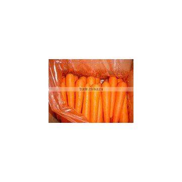 china fresh carrot price