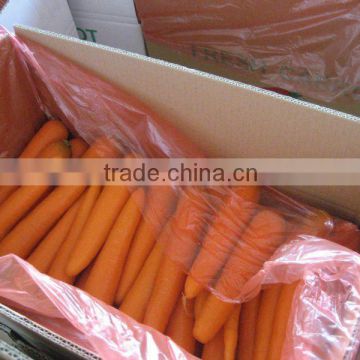 low price of carrot/china carrot