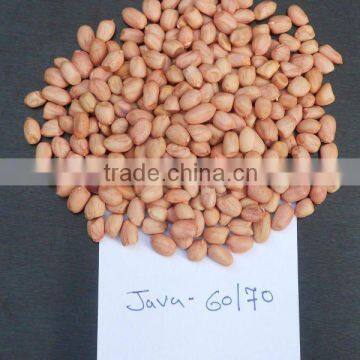 INDIAN JAVA PEANUT KERNEL