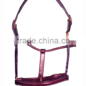 Raised Leather Halter