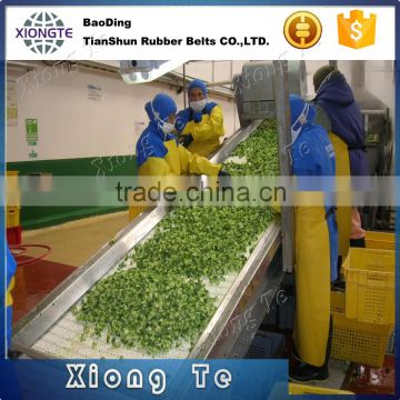 Best price ISO certified China manufacture Fruit Conveyor Belt