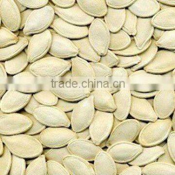 china white pumpkin seeds/kernels with high quality