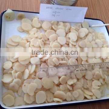 HALAL Food Products Water Chestnuts Slices Selling