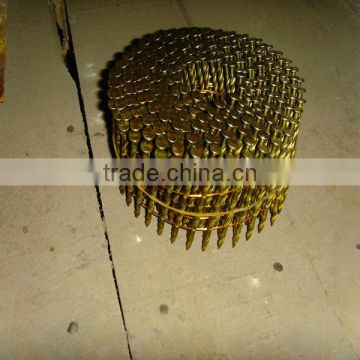 wanhua ring shank coil nails/coil nails/china manuafacturer