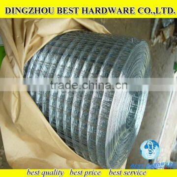 heavy gauge galvanized welded wire mesh factory