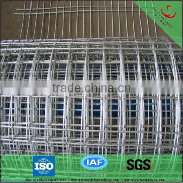4X4 galvanized square wire mesh(manufacturer)