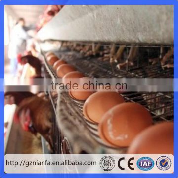Ladder Type Egg Chicken Cages For Poultry Farm