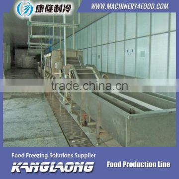 Large Output vegetables fruits drying line