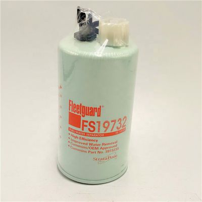 Hot Selling Original Cheap Fuel Filter Fs19732 For Construction Machinery
