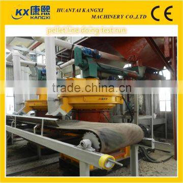 wood pellet and briquette making machine or complete production line exported to europe