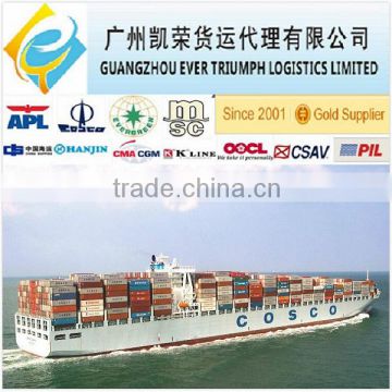 Shenzhen Guangzhou Ningbo lcl shipping forwarder to Suriname