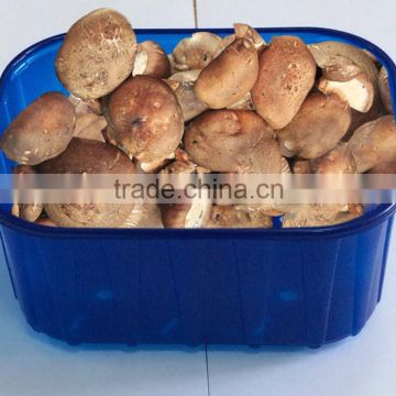 China Direct Manufacturer Custom Design Disposable Plastic Container For Freezer