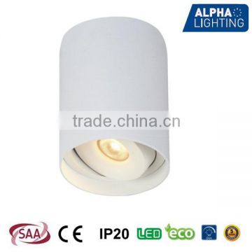 CE& SAA approved ceiling lighting,install style surface mounted led ceiling light