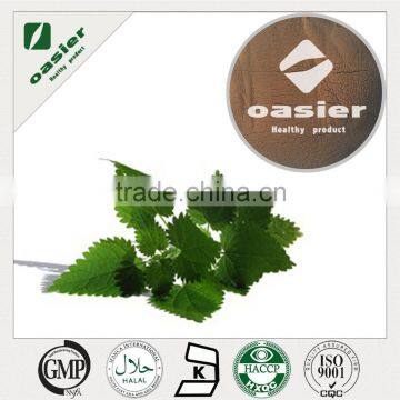 ISO Kosher standard 1%Silicone bete-sitosterol Nettle Leaf Extract Powder