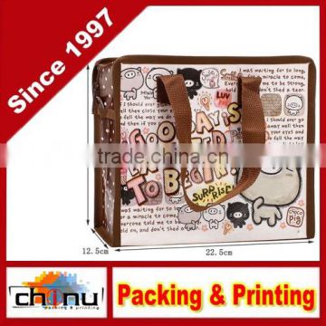 Promotion Shopping Packing Non Woven Bag (920030)