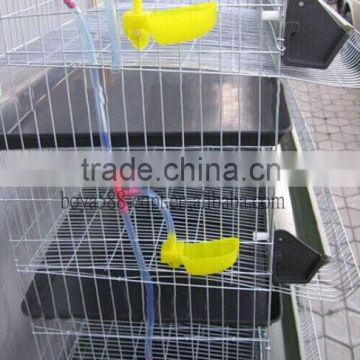 Quail Putting Cages with Full Equiped automatic quail farming Syetem