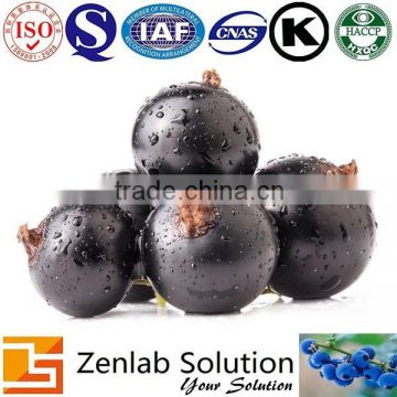 Dried black currant p.e for HPLC